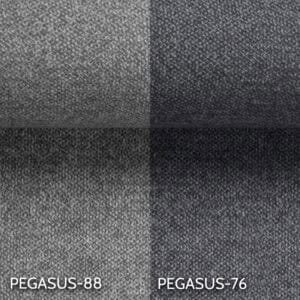 Pegasus-88/Pegasus-76
