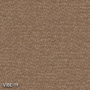Vibe 19