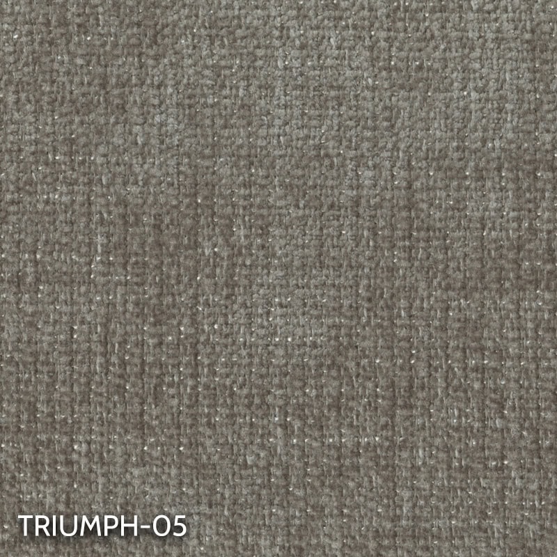 KALIFORNIJA-3V (III gr.) sofa-lova (Triumph-05) 1