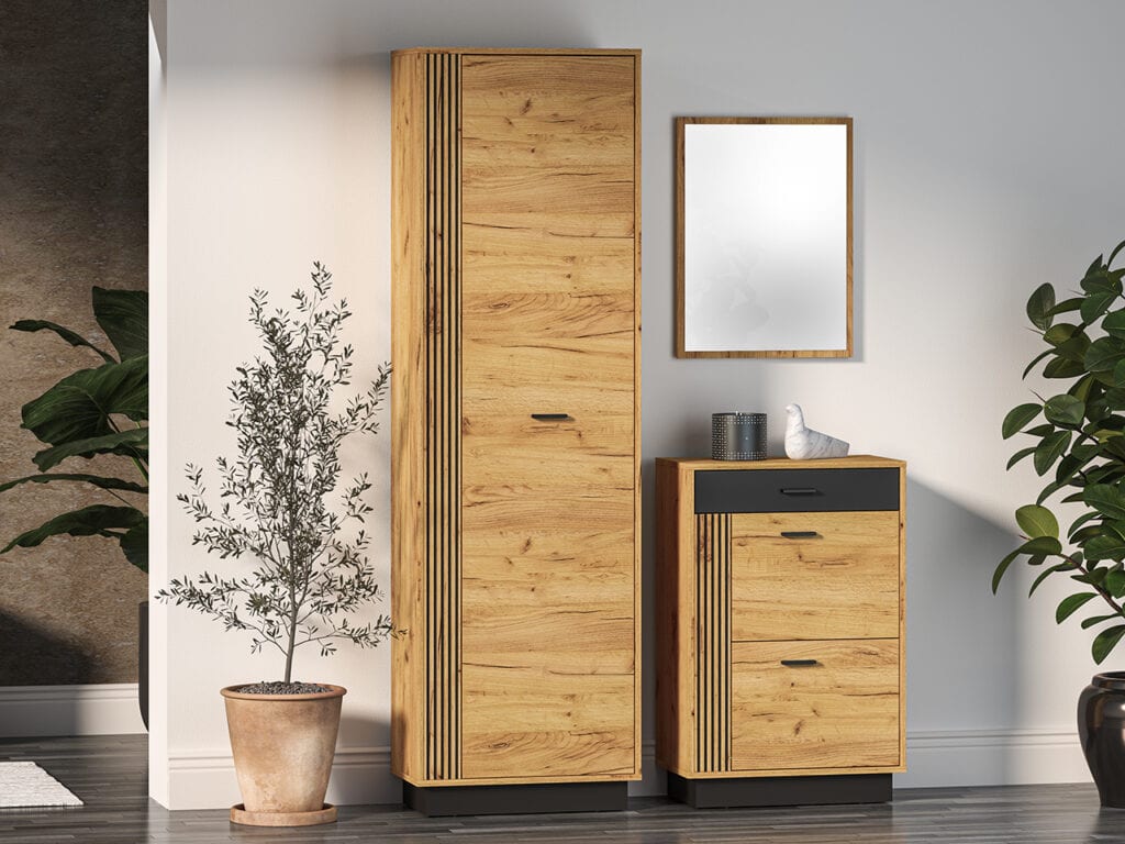 vasco01spinta_maksobaldai_05-1024x768 VASCO 01 spinta #5